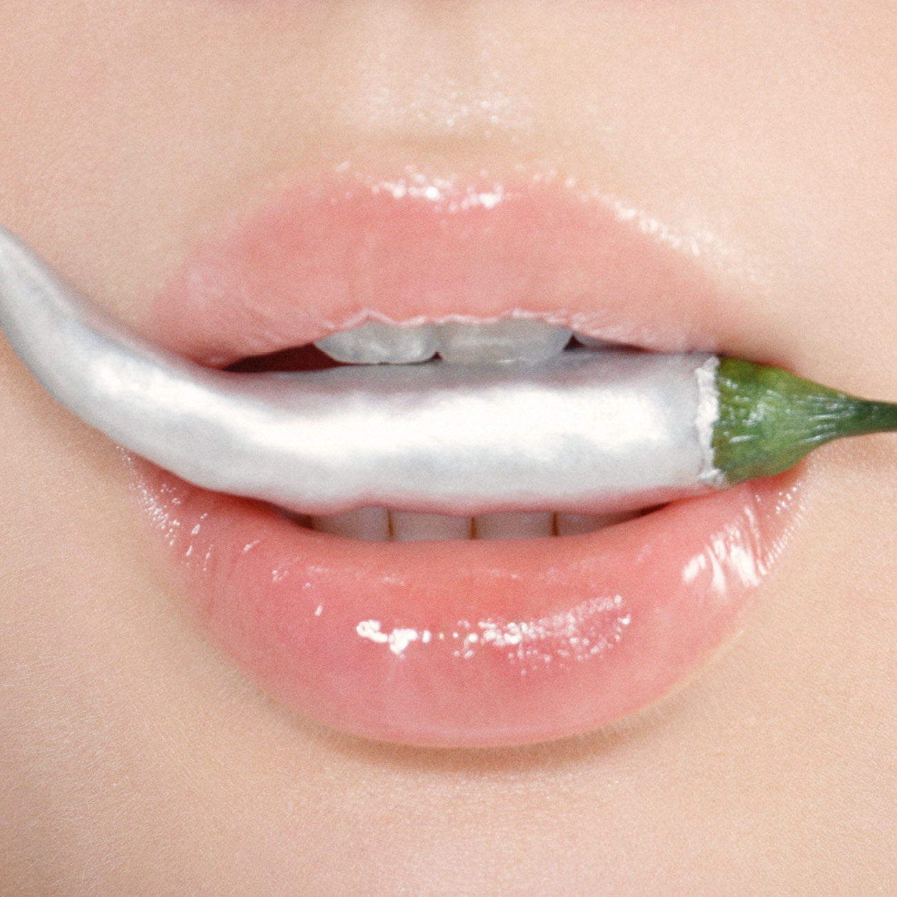 Lippen Close Up Perfect Plump